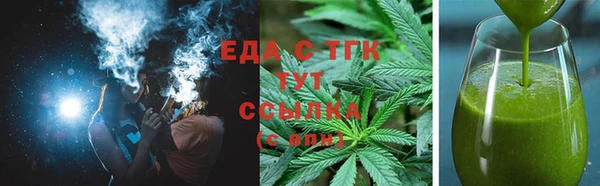 индика Белая Холуница