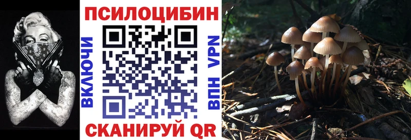 что такое наркотик  Юхнов  Псилоцибиновые грибы ЛСД 